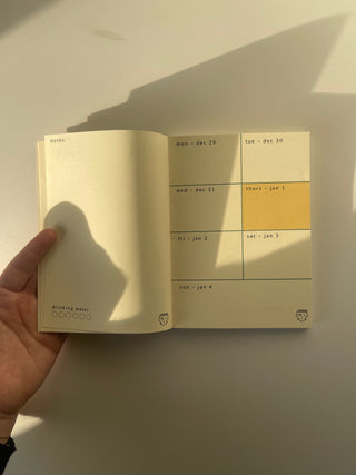 FRANKESTAYN 2026 Ajanda